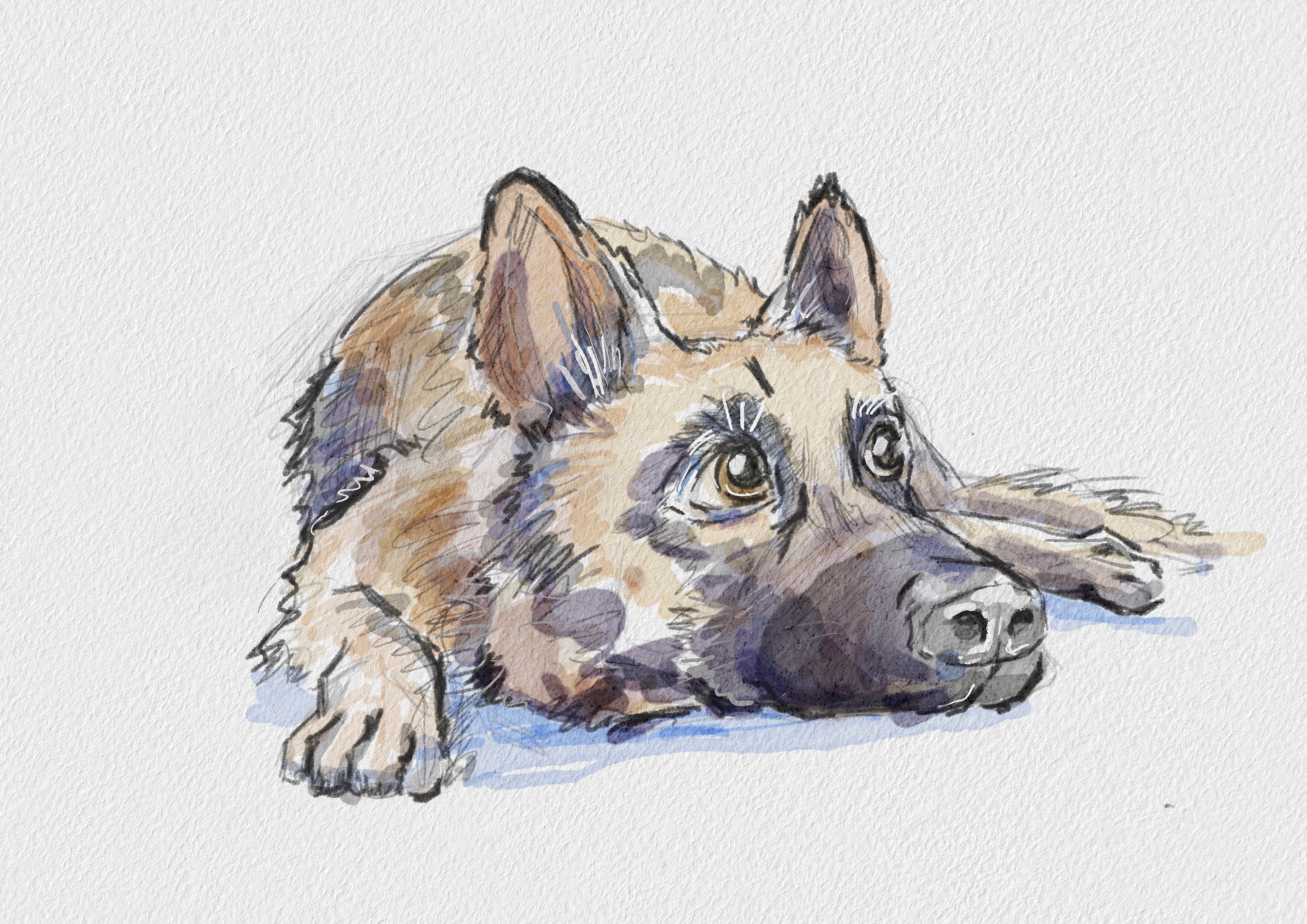 custom pet drawing unframed art print, dog drawing, pet sketch illustration wall art, dog mom gift, pet keepsake memorial
