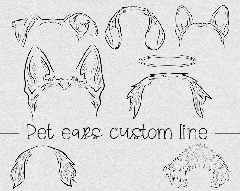 Custom Pet Ear Outline Drawing Dog Ear Drawing Pet Ear Etsy