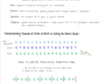 Microbial Genetics, Mutations, Mutagens, Vertical and Horizontal Gene Transfer