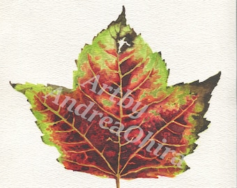 Fall Leaf Print