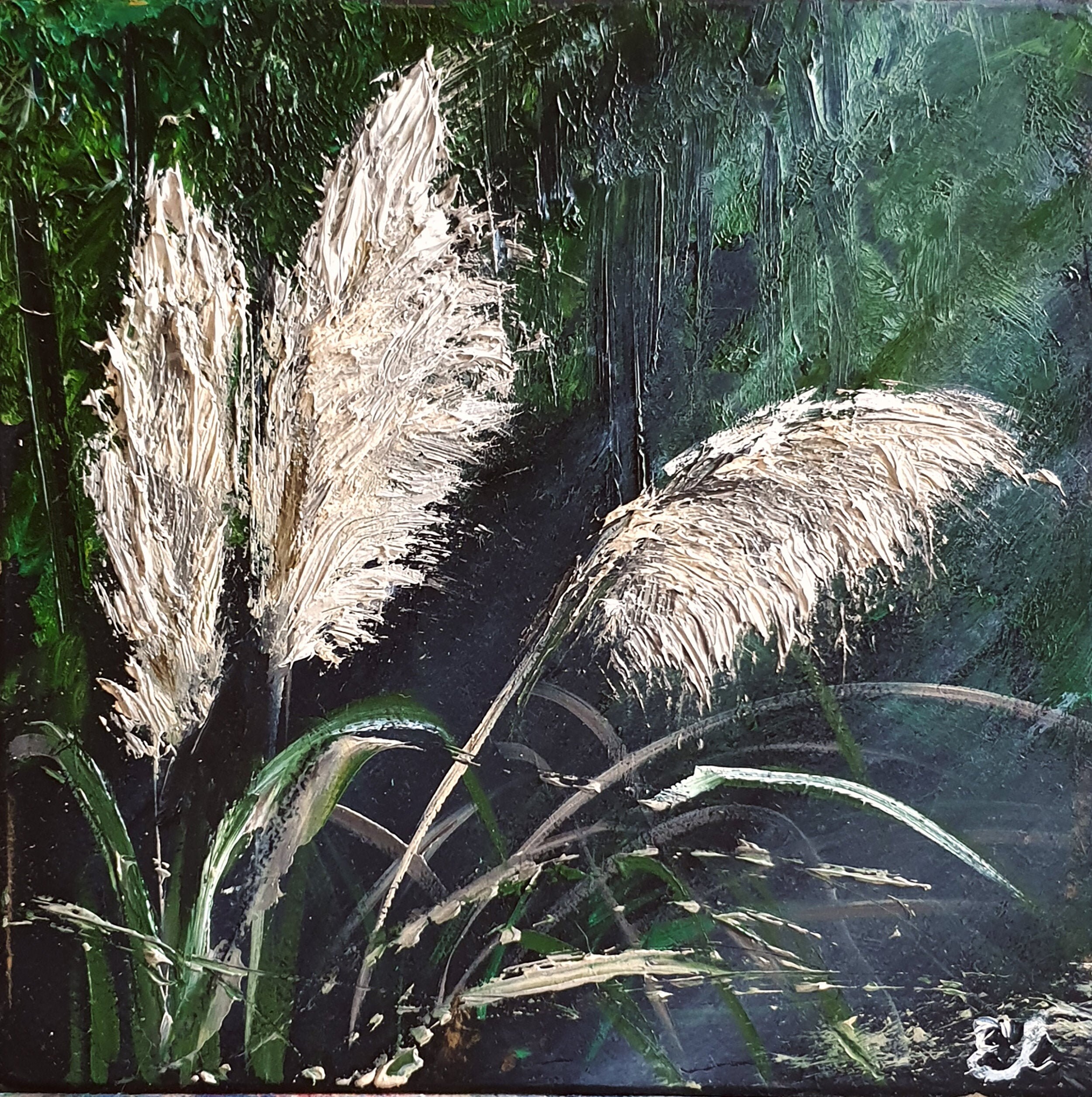 White Pampas Grass Original Painting California Pampas Grass homemade Artwork Small Oil Painting 6 by 6