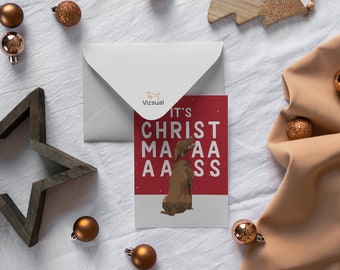 10 x IT’s CHRISTMAS Vizsla Christmas Card