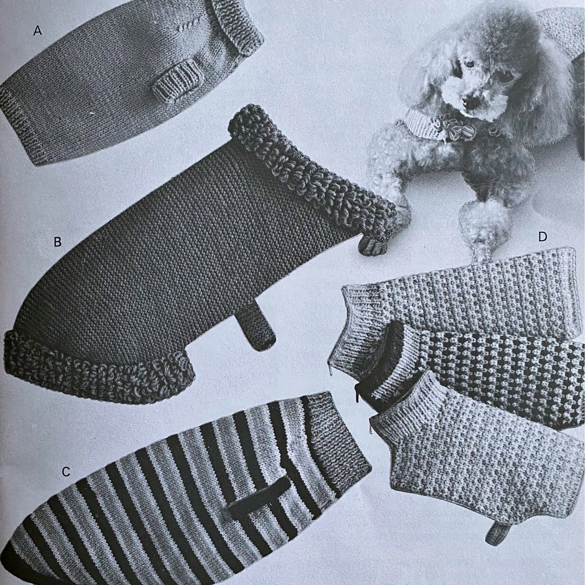 Dog Sweater or Coat Knitting Patterns 4, Size Variations, PDF Instant