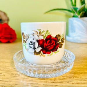 May include: A white ceramic planter with a red and white rose design, resting on a clear glass saucer. The planter features a vibrant red rose and a delicate white rose, with green and brown accents.