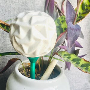 May include: A white ceramic sphere with a geometric pattern sits on a green plastic stake. The sphere is in a white ceramic pot with a houseplant with green and purple leaves.