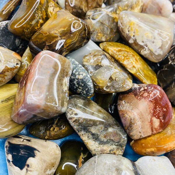 Montana assorted tumbled rock specimens - 1/2 pound (227grams) agate, jasper, quartz, river rock, petrified wood mix (7-11 stones)