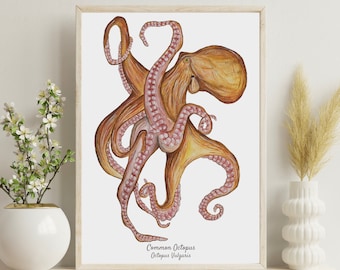 Watercolor Octopus Art Print | Nautical Wall Art