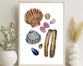 Impression d'art coquillages de Cornouailles | affiche de coquillages | Art nautique | Décor océan