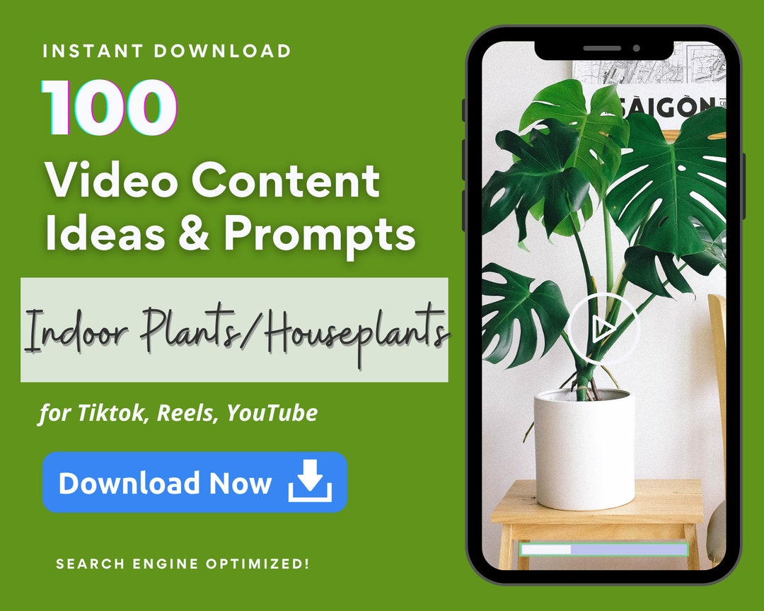 Indoor Plant Expert Video Content Ideas For Tiktok Reels Youtube indoor-plant-expert-video-content-ideas-for-tiktok-reels-youtube