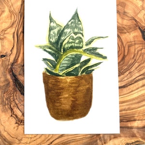 Watercolor Botanical Art - Snake Plant Watercolor Print - Living Room Wall Art
