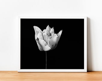 Tulip Printable, Tulip Print, Tulip Wall Art, Floral Print, Black And White Print, Wall Art,  Tulip Print, Tulip Wall Art, Floral Print