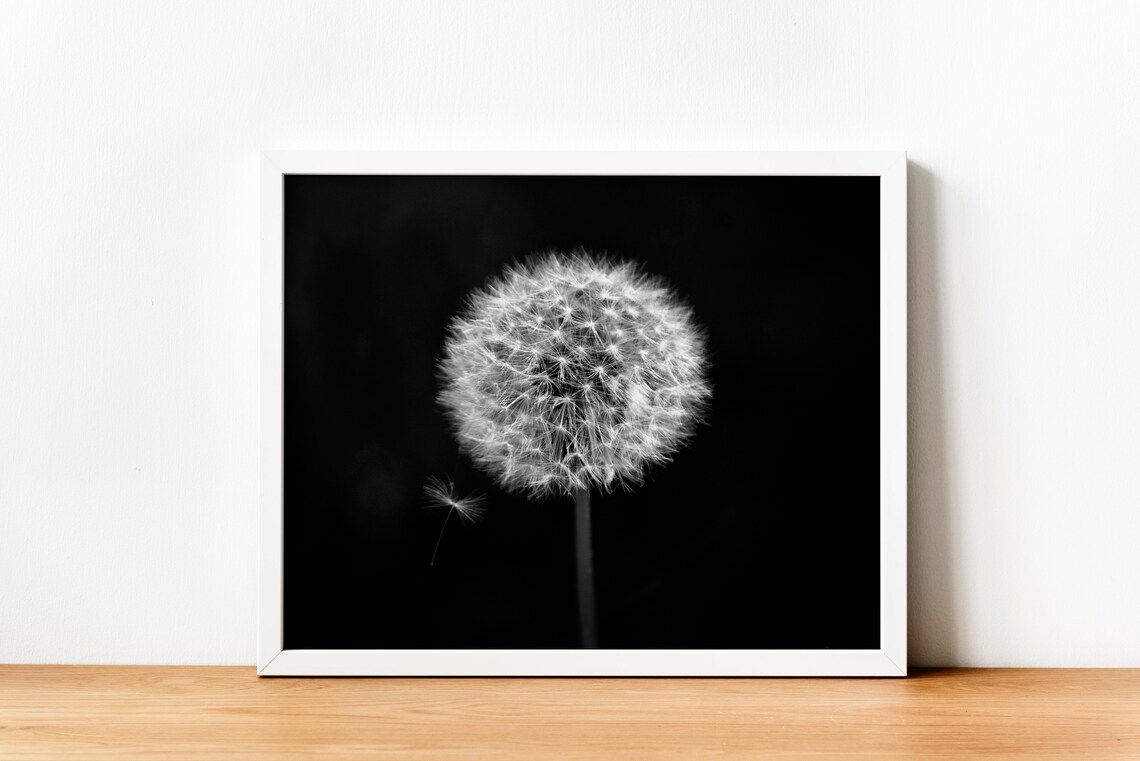 Dandelion Printable, Black and White Print, Dandelion Print, Flower ...