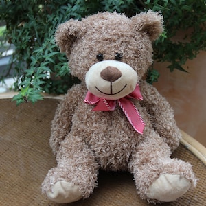 Könnte beinhalten: Ein brauner Teddybär mit einer rosa-weißen Schleife. Der Bär sitzt auf einer gewebten Oberfläche.