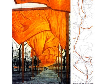 Immagine stampa poster Christo The Gates IV su cartone martellato 60 x 50 cm New York Central Park