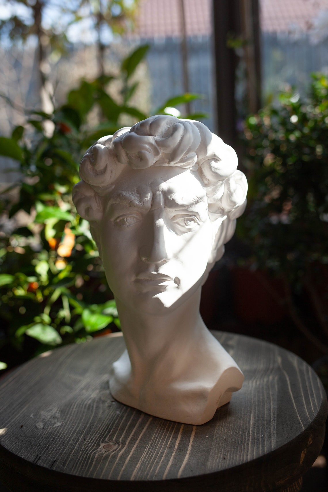 Plaster bust of David. Head of David. Statue of David. Etsy