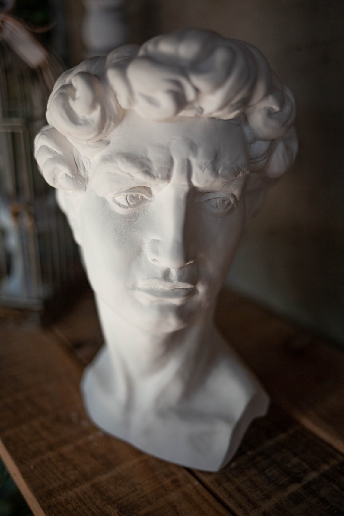 Plaster bust of David. Head of David. Statue of David. Etsy
