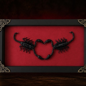 May include: A rectangular black frame with ornate gold-toned corner accents containing two black scorpions positioned on a deep red background. The scorpions are arranged so their tails and bodies curve to form a heart shape in the center.