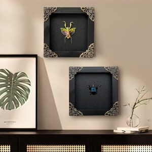Reading Room Decor Framed Mantis Creobroter & Blue Bee Minimal Tabletop Decor Shelf Decor Accents Natural Aesthetic Home Decoration image 1
