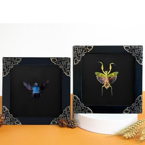 Reading Room Decor Framed Mantis Creobroter & Blue Bee Minimal Tabletop Decor Shelf Decor Accents Natural Aesthetic Home Decoration image 2
