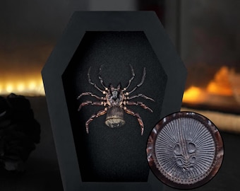 Op de afbeelding: Een zwart, doodskistvormig displayframe met een donkerbruin spinnenexemplaar met een getextureerd achterlijf. Een cirkelvormige inzet toont een uitvergrote weergave van het achterlijf met een duidelijk, radiaal en symmetrisch patroon.