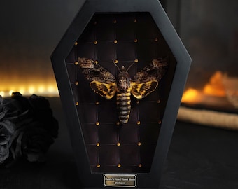 May include: A Death's Head Hawk Moth specimen from Vietnam displayed inside a black coffin-shaped shadow box. The moth features brown, black, and yellow wings and body. The background is black with a grid of small gold studs. A label reads Death's Head Hawk Moth Vietnam.