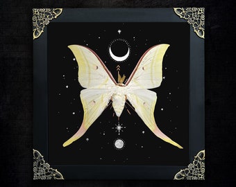 Luna Moth Framed Gothic Black Witch Wall Display Victorian Goth Goblincore Cottagecore Fairycore Oddity Hanging Room Gothic Unique Gift