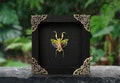 Real Framed Mantis Creobroter Beetle Shadow Box Dried Insect Dead Bug Taxidermy Taxadermy Black Wall Art Oddity Curiosities Decor