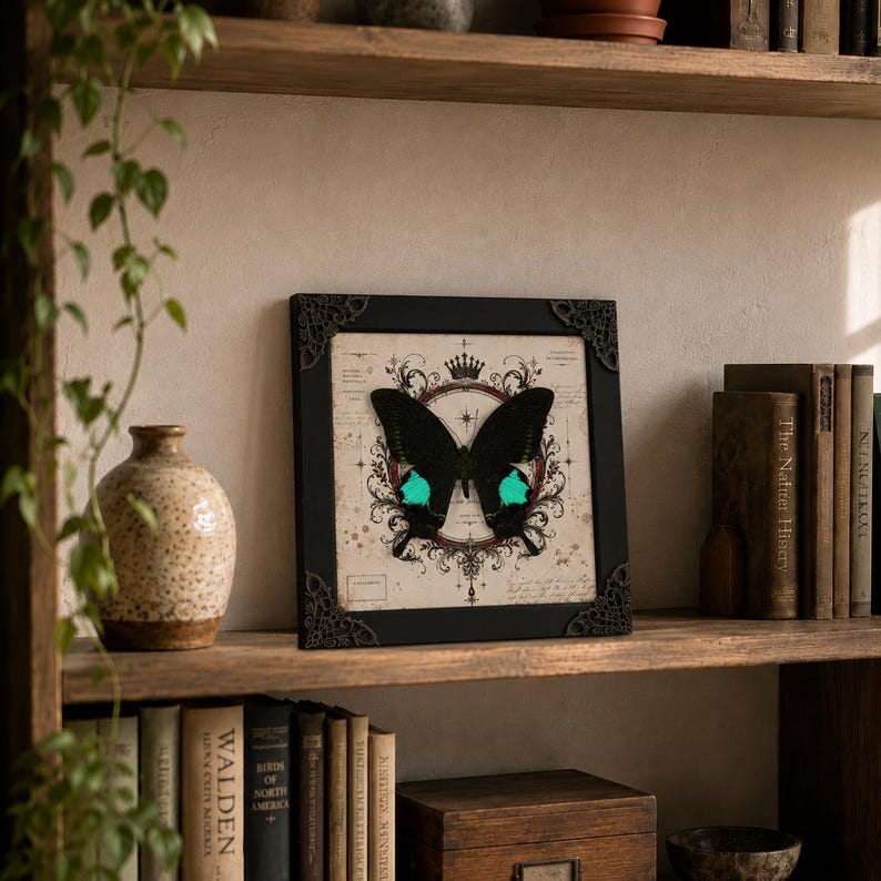 May include: A square black frame with ornate corner details containing a print of a black butterfly with bright teal wing accents. The butterfly is centered over a vintage-style background featuring a crown, circular filigree, and text.