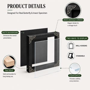 May include: A black square shadow box frame for butterfly and insect specimens, featuring a matte black background, clear acrylic front, and decorative brass baroque corner accents. The frame is constructed from pine wood and supports both wall hanging and standable display options.