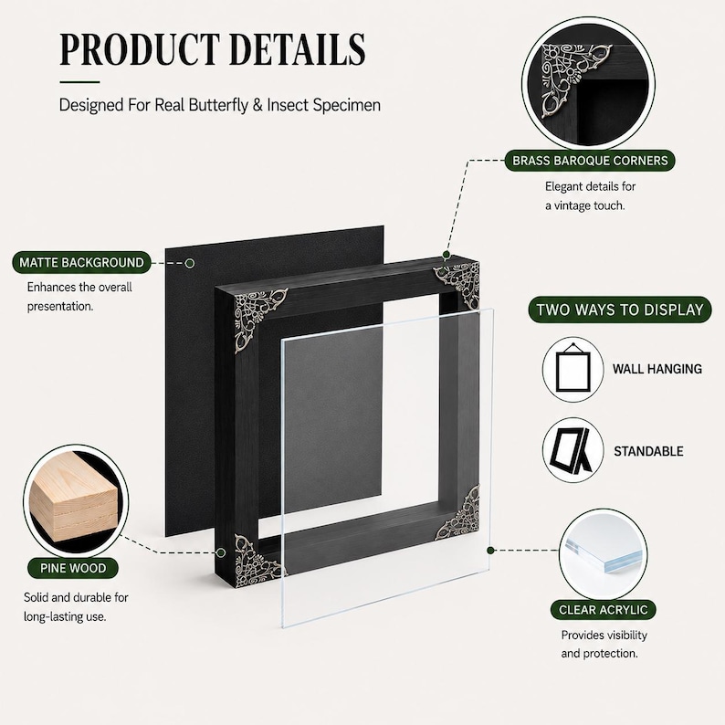 May include: A black square shadow box frame for butterfly and insect specimens, featuring a matte black background, clear acrylic front, and decorative brass baroque corner accents. The frame is constructed from pine wood and supports both wall hanging and standable display options.