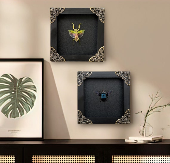 Reading Room Decor Framed Mantis Creobroter & Blue Bee Minimal Tabletop Decor Shelf Decor Accents Natural Aesthetic Home Decoration