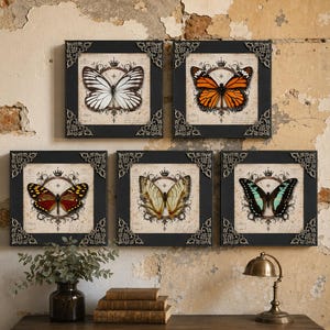 May include: Five square wall art pieces featuring butterfly illustrations centered within ornate circular frames and crowns. Each black frame has decorative silver-toned metal corner accents. The butterflies display white, orange, red, yellow, and teal colors.