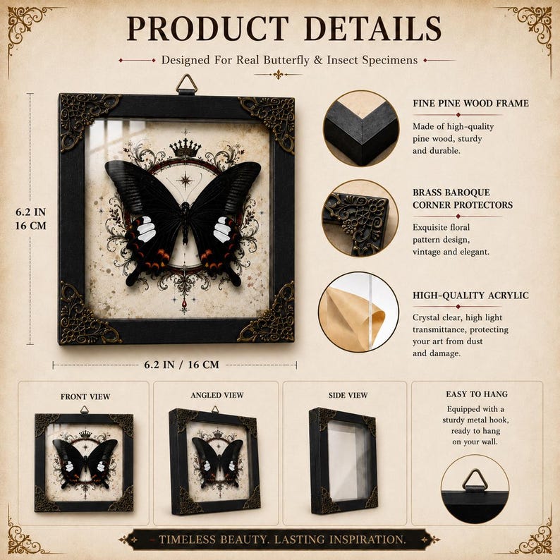 May include: A square black pine wood display frame measuring 6.2 inches by 6.2 inches, featuring ornate brass baroque corner protectors and a clear acrylic front. The frame contains a butterfly specimen centered on a vintage-style background.