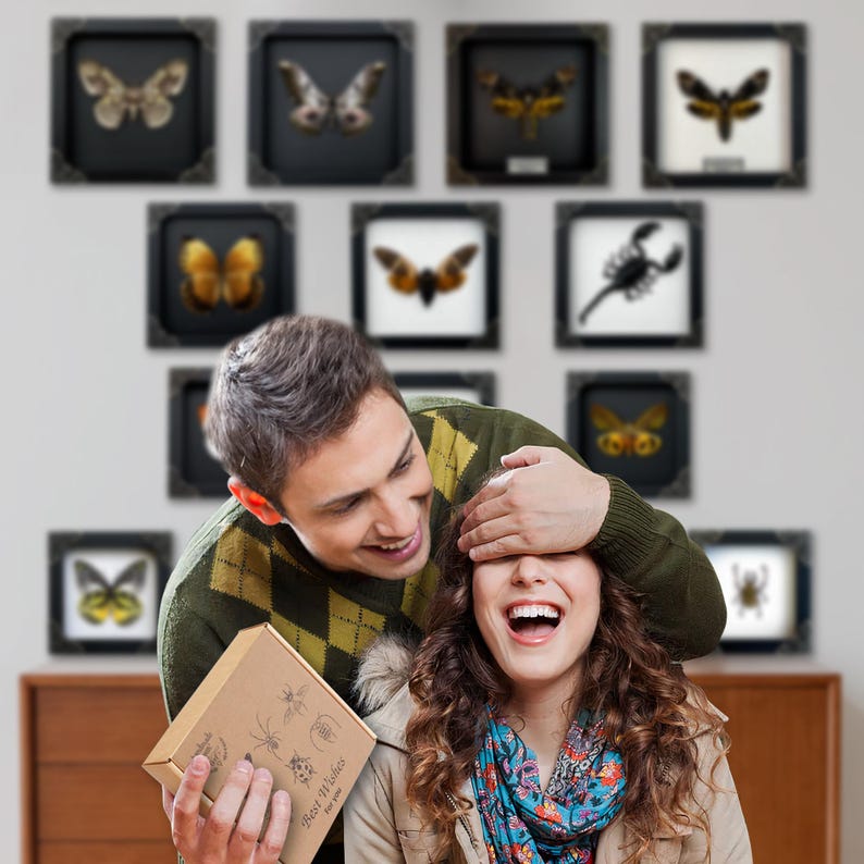 Spiders Heart Frame, Real Love Spider Tarantula Taxidermy, Gothic Wedding Gift Couple Anniversary Gift Oddities Curiosities Gothic Decor image 10