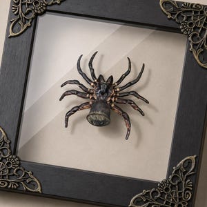 Peut inclure: Un spécimen d'araignée brun foncé et noir monté dans un cadre en bois noir carré. Le cadre présente des accents métalliques ornés aux coins dans un ton bronze. L'araignée est positionnée sur un fond beige clair derrière une vitre transparente.