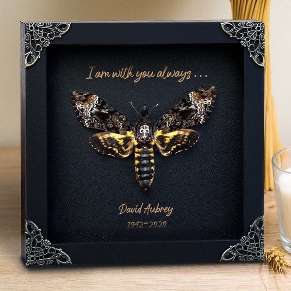 Personalized Framed Real Death's Head Moth Insect Butterfly Custom Memorial Wooden Shadow-Butterfly Quotes Frame-Custom Sympathy Gift Lover