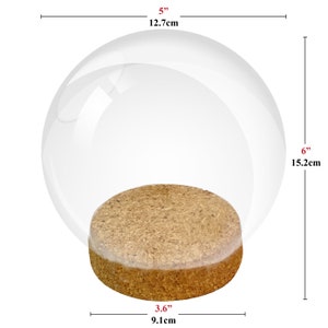 May include: A clear glass dome display cloche with a round cork base. The dome measures 5 inches in width and 6 inches in height, while the cork base measures 3.6 inches in diameter. The transparent glass cover sits securely on the textured cork.