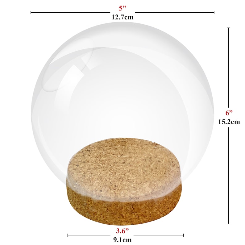 May include: A clear glass dome display cloche with a round cork base. The dome measures 5 inches in width and 6 inches in height, while the cork base measures 3.6 inches in diameter. The transparent glass cover sits securely on the textured cork.