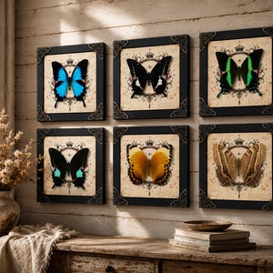 May include: A set of six square wall art pieces featuring butterfly specimens in black frames with ornate corner details. Each print displays a different butterfly species centered over a vintage-style background with crown and scroll motifs.
