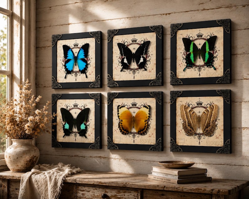 May include: A set of six square wall art pieces featuring butterfly specimens in black frames with ornate corner details. Each print displays a different butterfly species centered over a vintage-style background with crown and scroll motifs.