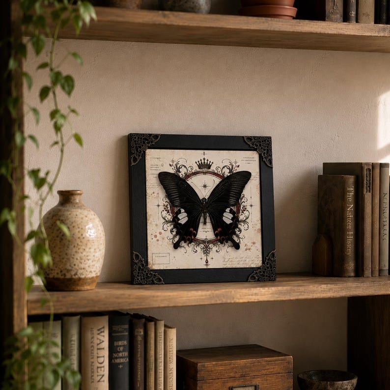 May include: A square black frame with ornate corner accents containing a print of a large black butterfly centered over a vintage-style map background with a crown icon, decorative scrollwork, and fine lines radiating from the center point.