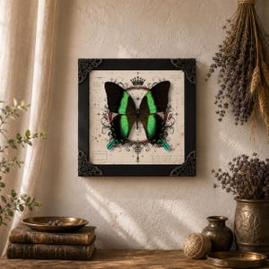 May include: A square wall art piece featuring a preserved butterfly with black and vibrant green wings. The butterfly is centered over a vintage-style cream background with intricate black line drawings, a crown icon, and text, enclosed in a black frame.