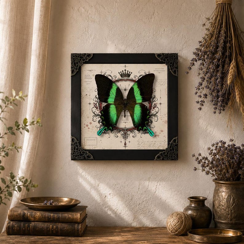 May include: A square wall art piece featuring a preserved butterfly with black and vibrant green wings. The butterfly is centered over a vintage-style cream background with intricate black line drawings, a crown icon, and text, enclosed in a black frame.