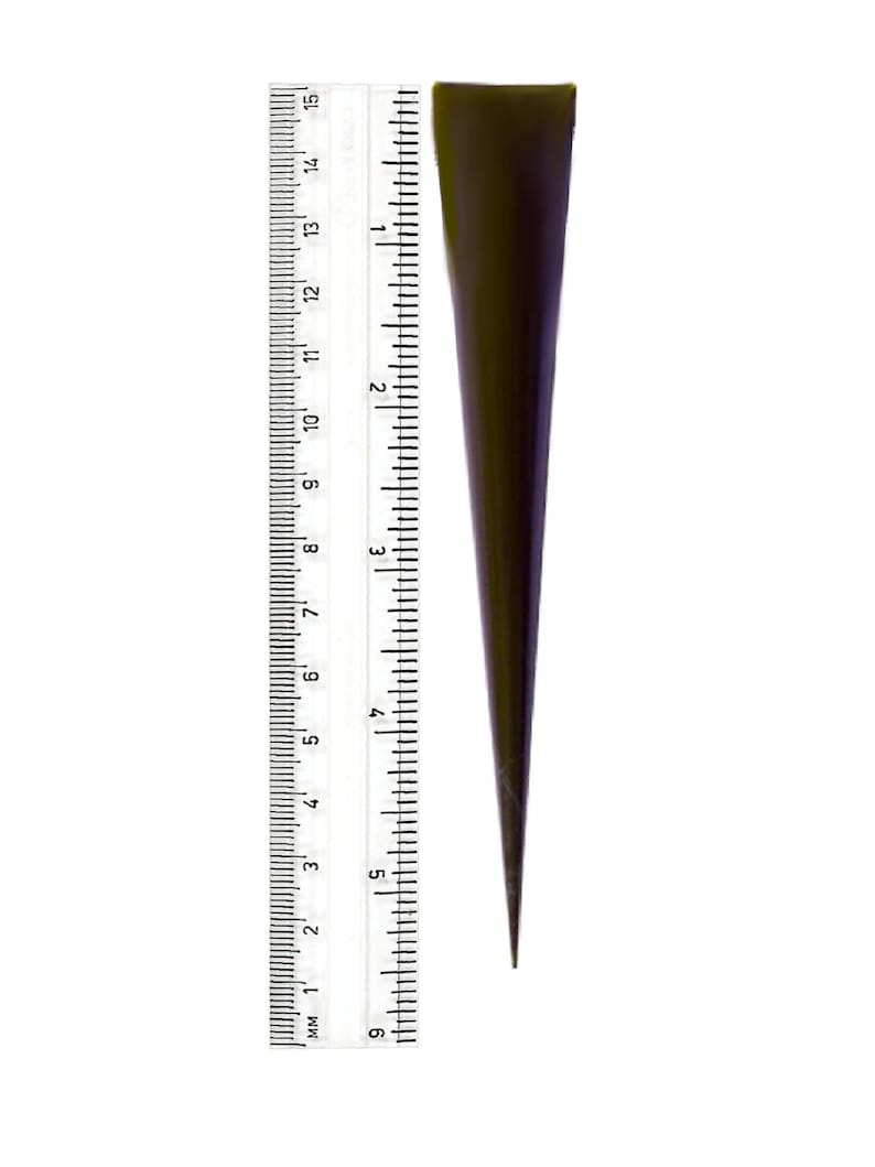 May include: A dark brown, pointed, cone-shaped tool, measured against a ruler, is approximately 15 centimeters long.
