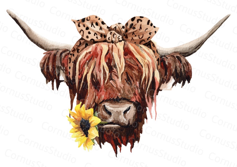 Highland cow with sunflower and bandana Watercolor PNG 14 X | Etsy