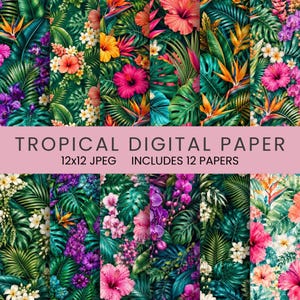 Può includere: Una collezione di dodici carte digitali con vivaci motivi tropicali di ibisco, orchidee e uccelli del paradiso tra foglie di palma verdi. L'immagine include il testo TROPICAL DIGITAL PAPER 12x12 JPEG INCLUDES 12 PAPERS.