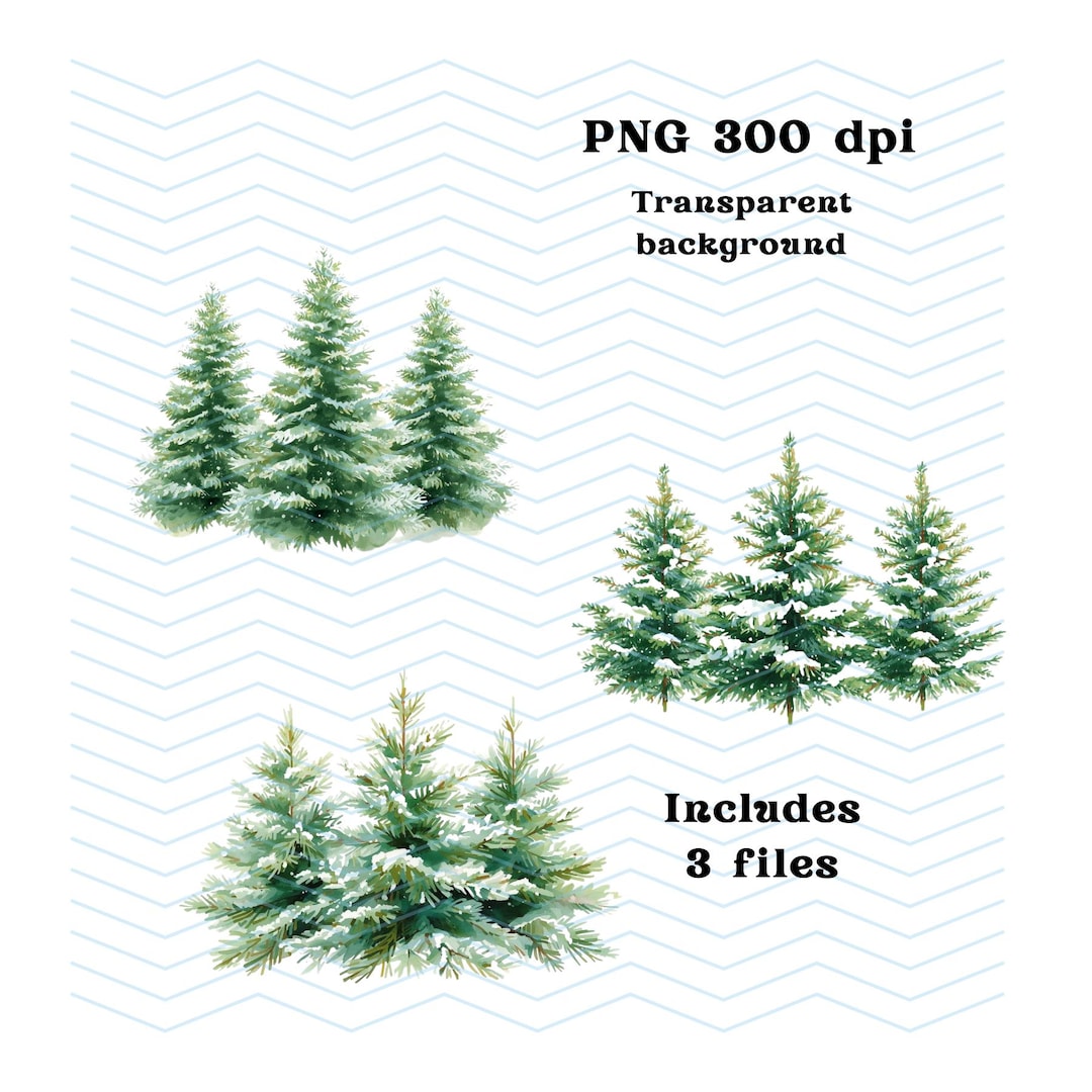 Watercolor Pine Tree Clipart | Winter Forest PNG (digital Download) - Etsy