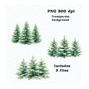 May include: Watercolour illustrations of evergreen trees in various arrangements. The trees are depicted in shades of green with some dusted with snow. The image includes text that reads "PNG 300 dpi", "Transparent background", and "Includes 3 files".