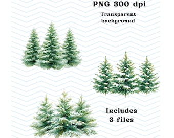 Watercolor Pine Tree Clipart | Winter Forest PNG (Digital Download)