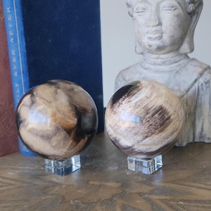 Large Petrified Wood Spheres